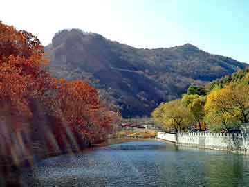 冲浪赛场环境保护行动周活动方案，冲浪比赛